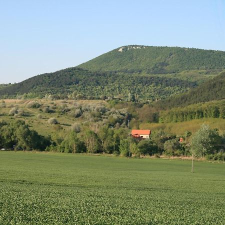 Maison d'hôtes Malomdulo Farmhaz à Pilisborosjenő Extérieur photo