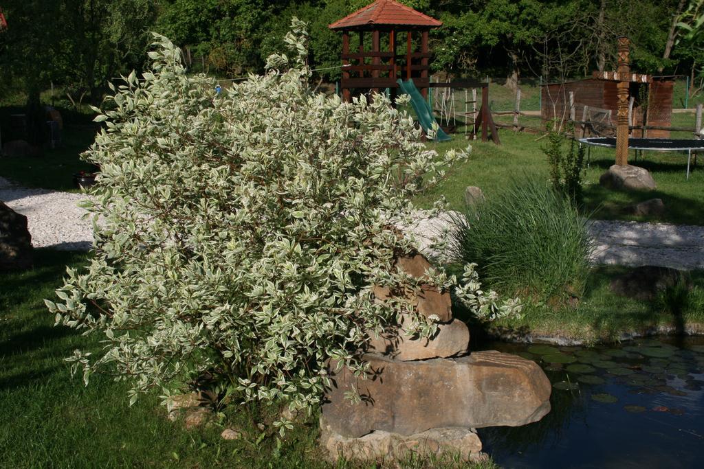 Maison d'hôtes Malomdulo Farmhaz à Pilisborosjenő Extérieur photo