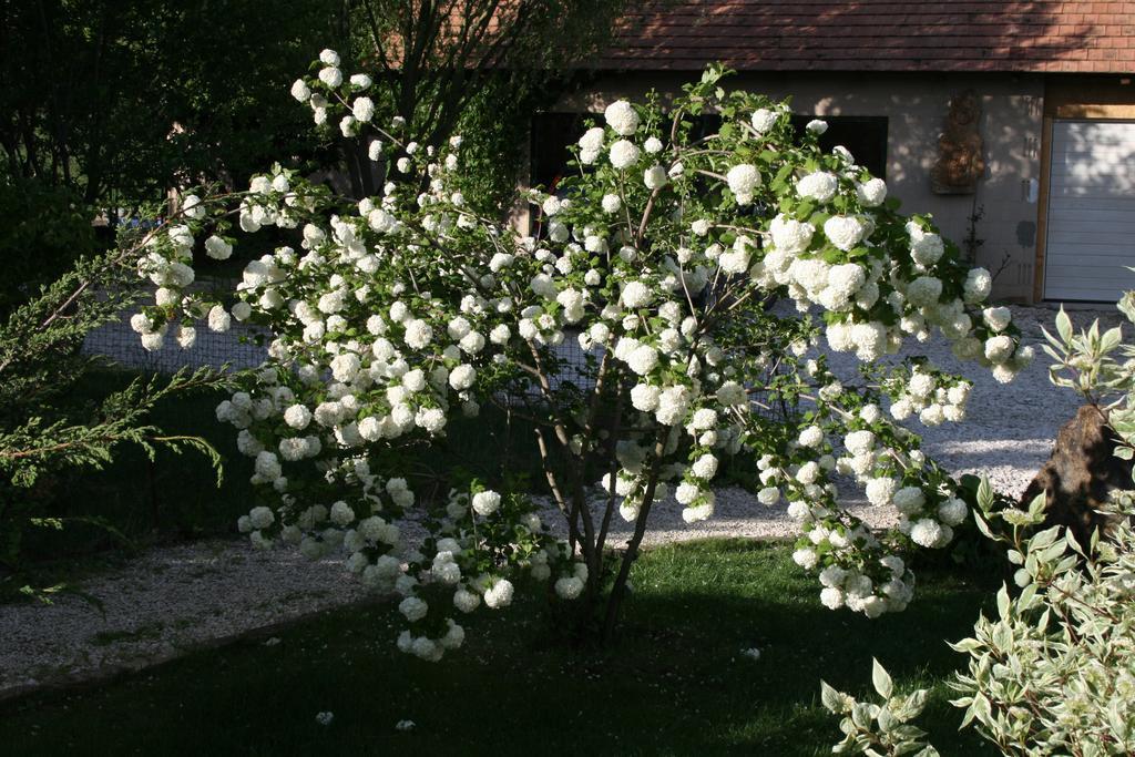 Maison d'hôtes Malomdulo Farmhaz à Pilisborosjenő Extérieur photo