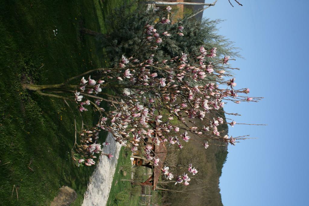 Maison d'hôtes Malomdulo Farmhaz à Pilisborosjenő Extérieur photo